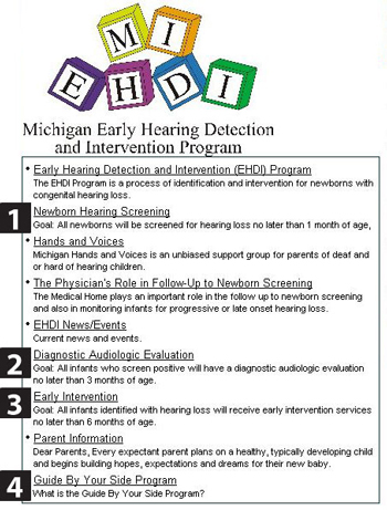 fig 1.3b, Michigan EHDI homepage