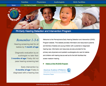 Fig. 2.2a PA EHDI Homepage