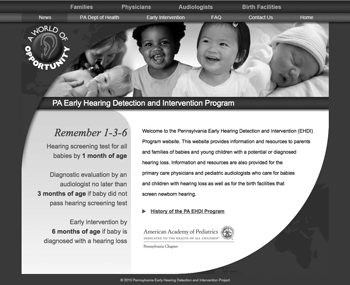 Fig. 2.2c PA EHDI homepage in black and white