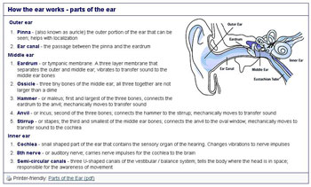 fig 2.4b visual aid of how the ear works