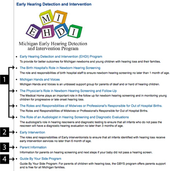 fig 1.3b, Michigan EHDI homepage