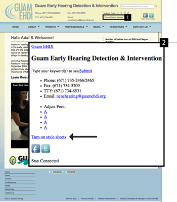 Fig. 2.1c Guam provides link to turn off styles example